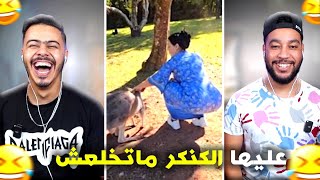 هادشي خرج على السيطرة 🫨 هادي مالها 🤣 [upl. by Schnapp]