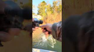 Sometimes They Win bass bassfishing topwaterfishing youtubeshorts [upl. by Bocaj]