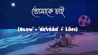 Tomake chai তোমাকে চাই  SlowReverblofi  Arijit Singh Yash Gangstar  Bengali lofi song [upl. by Gleeson491]