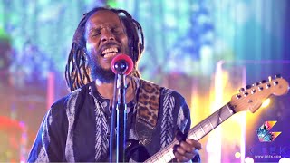 Ziggy Marley 2020 Live Concert Stream [upl. by Gratiana836]