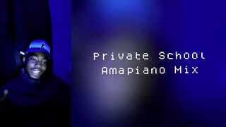 Private School Amapiano Mix 2024 Part 2 [upl. by Ferdinande]