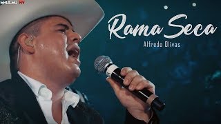 Letra Rama Seca  Alfredo Olivas 2017 [upl. by Arretal]