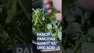 PANCIT PANCITAN GAMOT SA URIC ACID [upl. by Lenno]