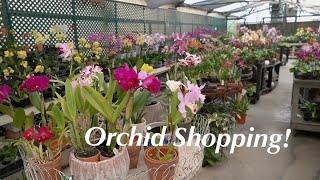 Orchid Heaven  Greenhouse Tour [upl. by Navada]