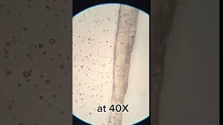 Vaseline Under the Microscope 🧴  A Closer Look at Smoothness and Protection [upl. by Novej587]