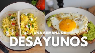 5 Recetas de Desayunos Saludables y Deliciosos que debes probar [upl. by Htiek]