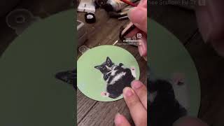 Painting a black tuxedo kitty on a ornament [upl. by Nalloh]