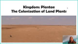 Introduction to Kingdom Plantae [upl. by Llenad]