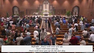 St Matthew Mass Livestream [upl. by Ahsiuqat994]