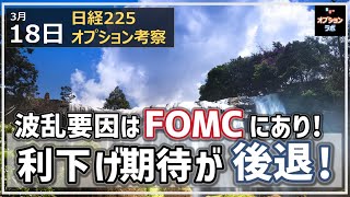 【日経225オプション考察】318 日本株の波乱要因はFOMCにあり！ 利下げ期待が後退！ [upl. by Nate]