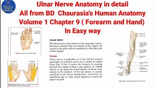 Ulnar Nerve Anatomy in detail Chapter 9 Forearm and Hand [upl. by Herr]