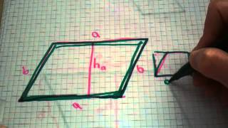 Flächeninhalt eines Parallelogramms berechnen  Mathe verstehen [upl. by Toffey617]