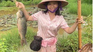 Big Carp Caught in the Water Lily Swamp [upl. by Peednama]