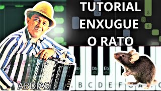 Tutorial Forró Enxugue o rato  Abdias [upl. by Htebzil]