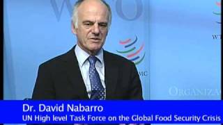 The role of the multilateral trading system on world food prices [upl. by Notsahc439]