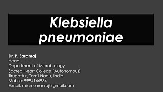 Klebsiella pneumoniae [upl. by Lenrad]