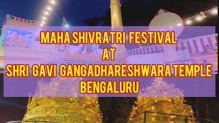 Maha Shivratri celebrations at Shri Gavi Gangadhareshwara Swamy Temple Bengaluru [upl. by Vezza]