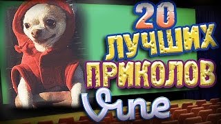 Лучшие Приколы Vine ВЫПУСК 52 17 [upl. by Rand319]