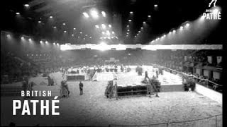 The Horse Of The Year Show  Wembley 1967 [upl. by Sudnor]