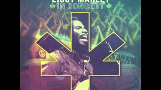 Ziggy Marley  quotWelcome To The Worldquot  Ziggy Marley In Concert [upl. by Teyut]