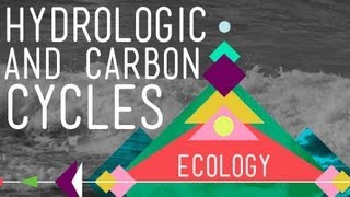 The Hydrologic and Carbon Cycles Always Recycle  Crash Course Ecology 8 [upl. by Schafer825]