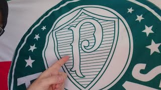 Romarinho No PALMEIRAS Literalmente Contra Tudo E Todos [upl. by Elocim116]