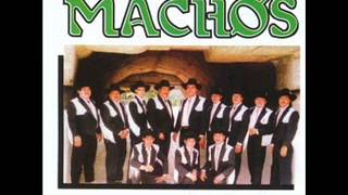 Banda MachosCasimira [upl. by Meghann]