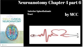 Neuroanatomy Chapter 4 part 6Anterior Spinothalamic TractCrude touch pathwayspinal lemniscus [upl. by Afatsom]