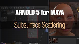 Subsurface Scattering in Arnold 5 [upl. by Biagio]