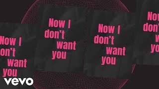 Riton RAYE  I Dont Want You Lyric Video [upl. by Phineas988]