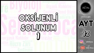 13 Oksijenli Solunum 1 [upl. by Salema]