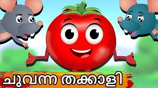 ചുവന്ന തക്കാളി  Chuvanna Thakkali  Red Tomato  Moral Malayalam Stories  Malayalam Stories [upl. by Anaeerb]