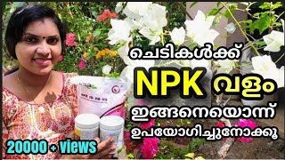 NPK വളങ്ങൾ ചെടികൾക്ക് ഇങ്ങനെ ഉപയോഗിക്കൂHow to use NPK fertilizer in Malayalam [upl. by Cohdwell918]