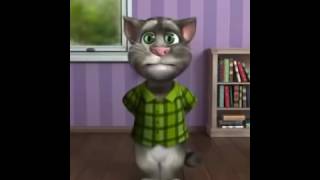 El gato tom y sus chistes increíbles 2017 [upl. by Anhcar24]