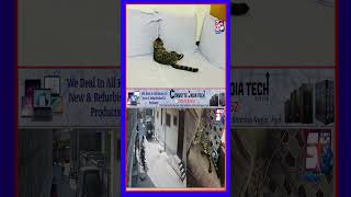 Costly Cat Billi Ki Ghar Ke Paas Se Chori  CCTV  6 Naujawano Ne Kiya Ye Karnama  Kurmaguda Hyd [upl. by Adyl]