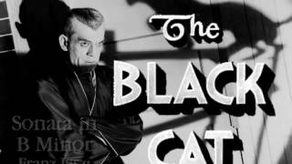 THE BLACK CAT Musical Selections [upl. by Fifine]