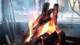 fire bonfire flame fire video effects [upl. by Anihpled180]