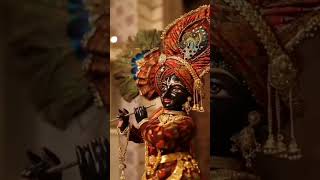 O palan hare 🙏🏻 shorts harekrishna bhakti radhakishna viralvideo youtubeshorts [upl. by Fineberg]