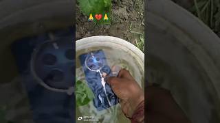 Realme 12 pro plus 🔥 water 💦 test Realme 12 pro plus waterproof 🌊 test water test realme [upl. by Eentroc]