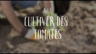 Cultiver des tomates [upl. by Natanhoj]