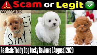 Realistic Teddy Dog Lucky Reviews August 2020 How Is It Legit or Scam  Scam Adviser Reports [upl. by Bodrogi]