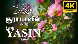 Most beautiful recitation of Surah Yaseen Tamil Translation  சூரா யாஸீன் தமிழ் [upl. by Imotih]