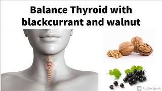 Balance Thyroid with blackcurrant and walnut — helps support healthy thyroid function [upl. by Annagroeg204]