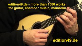 Ludovico Einaudi Nefeli Mandolin Guitar Gitarre Detlef Tewes Boris Bagger [upl. by Lorrin924]