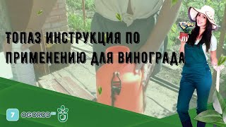 Топаз инструкция по применению для винограда [upl. by Adni710]