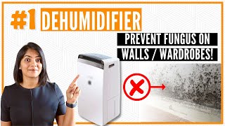 Best Dehumidifiers in India 2023  Fungus or mould on walls cupboards clothes clothes not drying [upl. by Amil486]