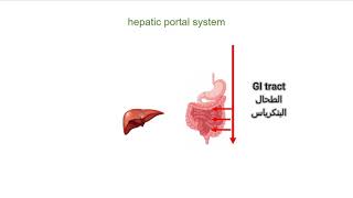 الجهاز الوريدي  فسيولوجي انتومي Portal Venous Systems Hepatic Portal System [upl. by Odraner668]