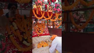 NAGAR KIRTAN STATUS  BHATAPARA UPDATE [upl. by Earley]