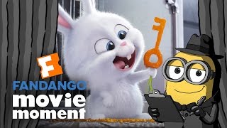 Brian the Minion watches The Secret Life of Pets  Fandango Movie Moment 2016 [upl. by Darya52]