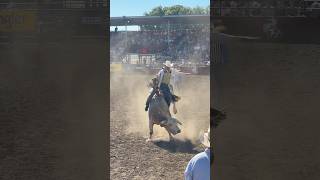 Brady Portenier takes Bubba G for a spin bullriding rodeos cowboy rodeotime [upl. by Ehrlich890]